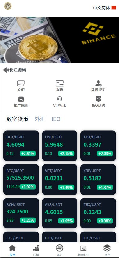 499045f13820251021165325